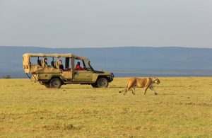 Maasai Mara Flight package from Nairobi