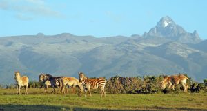 Mt Kenya safari packages