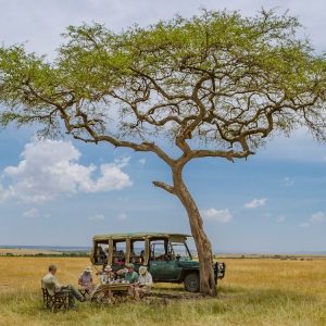 Masai Mara Jeep Safari from Diani