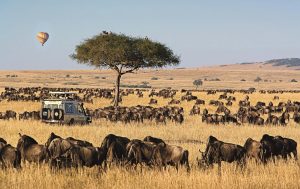 Masai mara safari packages