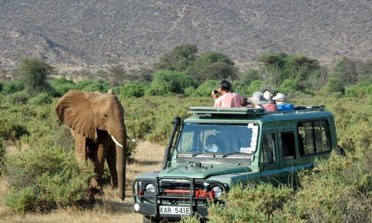 Tsavo East Jeep Safari from Diani