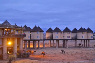 Saltlick Safari Lodge