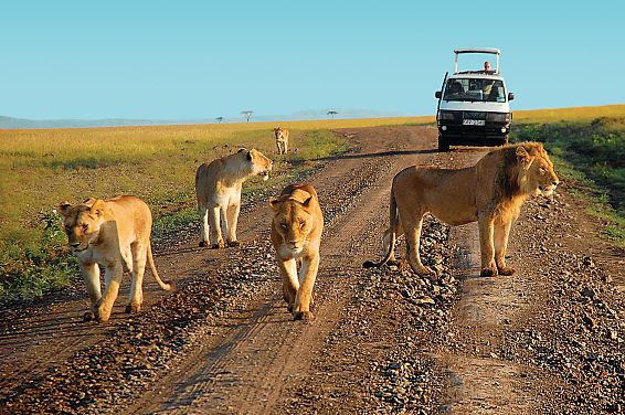 Tsavo East Safari from Diani price