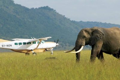 Flights to Masai Mara from Diani Beach