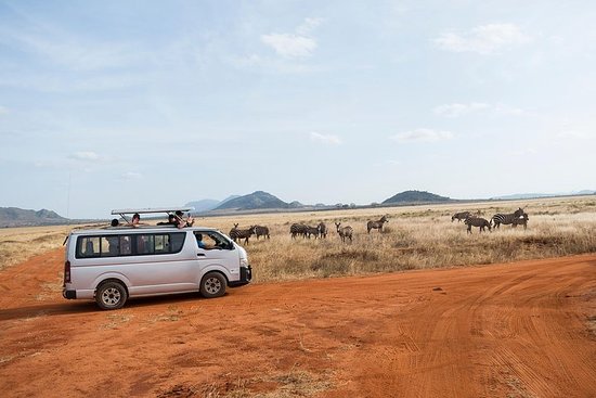 Diani safari to Tsavo