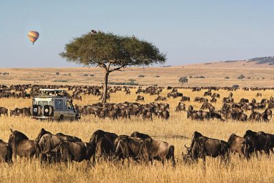 Masai mara safari packages