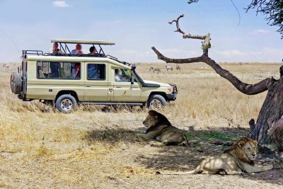 Kenya Jeep safari and Beach Hioliday-Diani Beach
